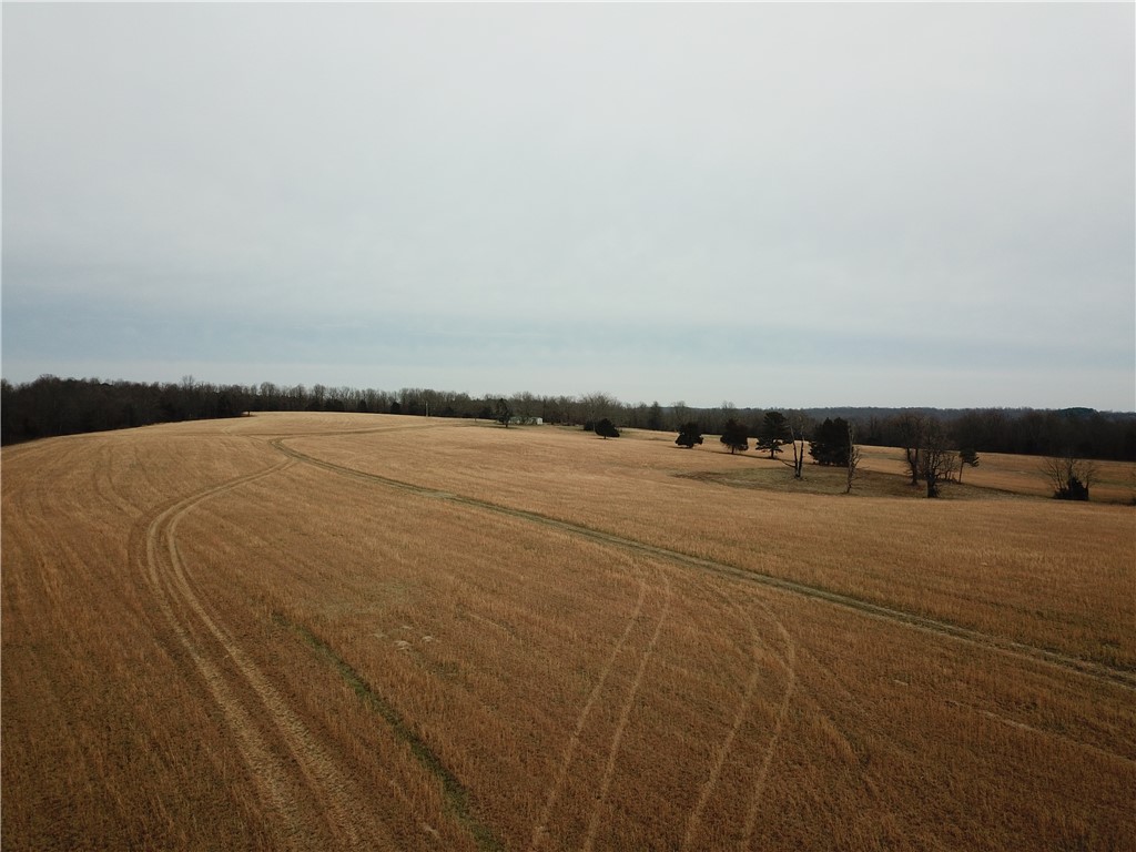 Image 15
