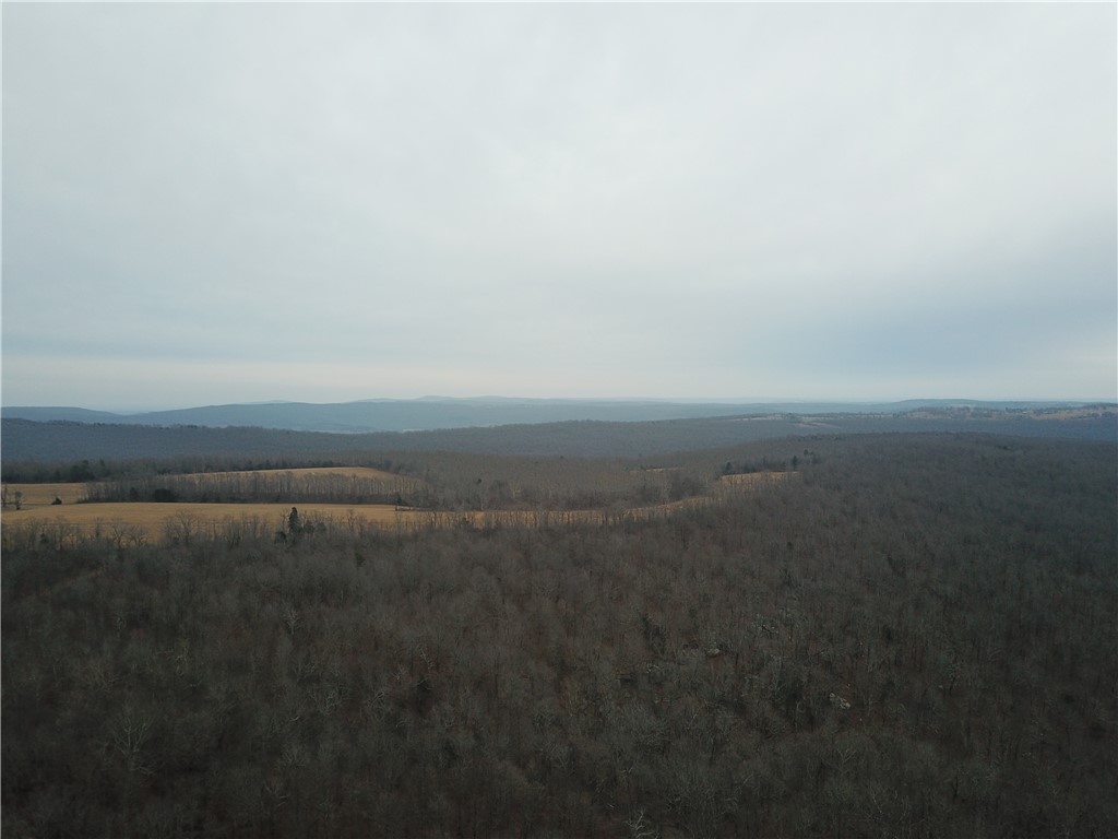 Image 19