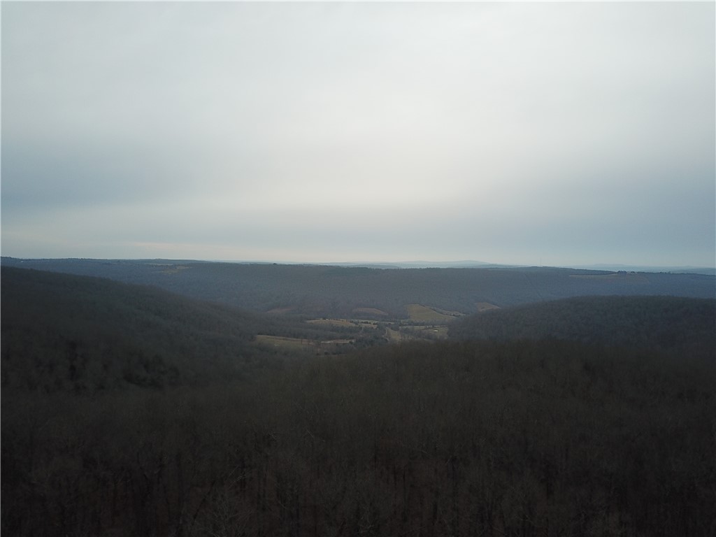 Image 21