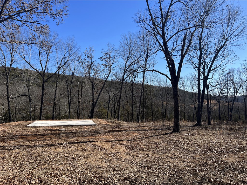 Ozark Haven Realty property-listing-thumbnail
