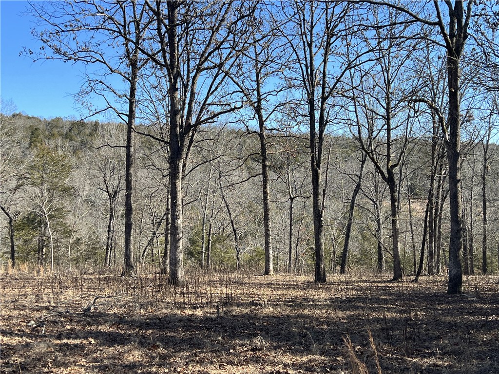 Image 12