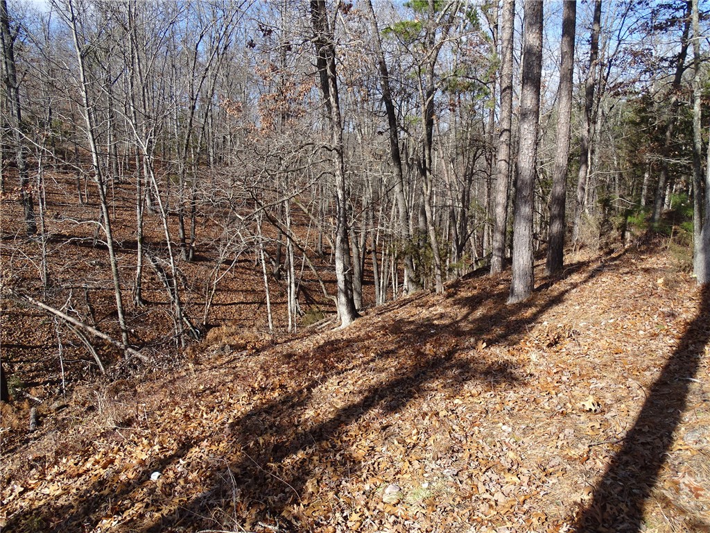Image 13