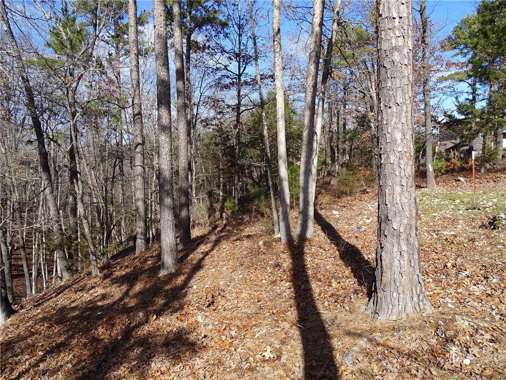Image 14
