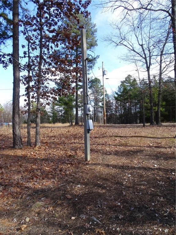 Image 15