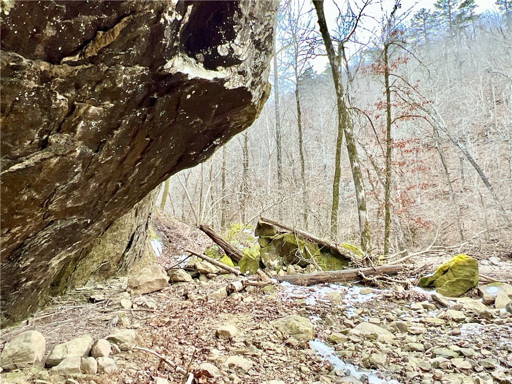Image 12