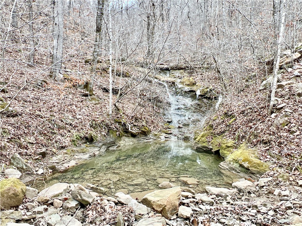 Image 15