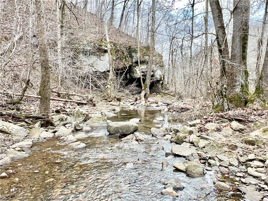 Image 21