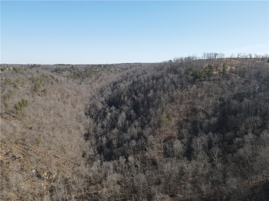 Image 40