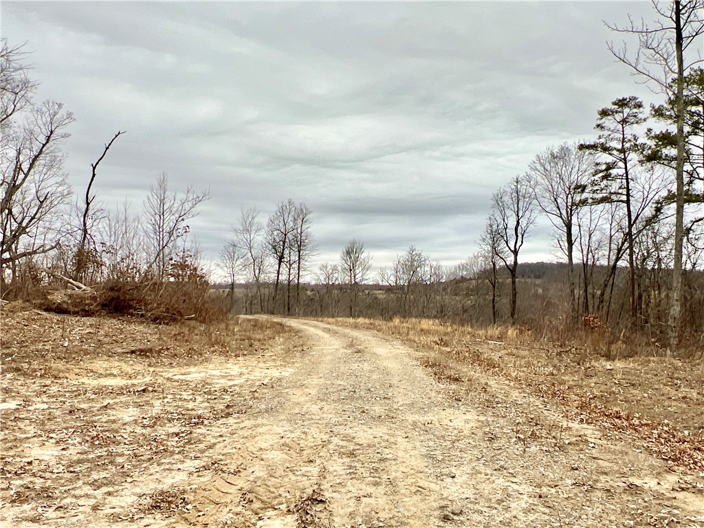 Image 42