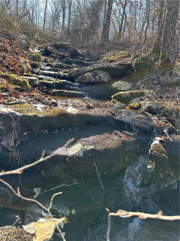 Image 43