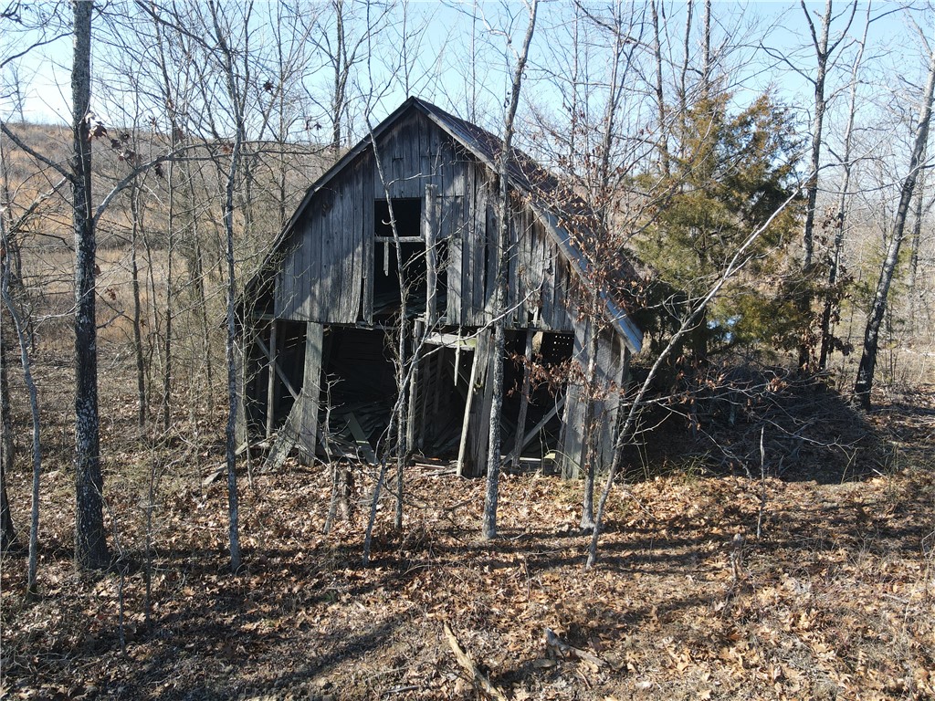 Image 8
