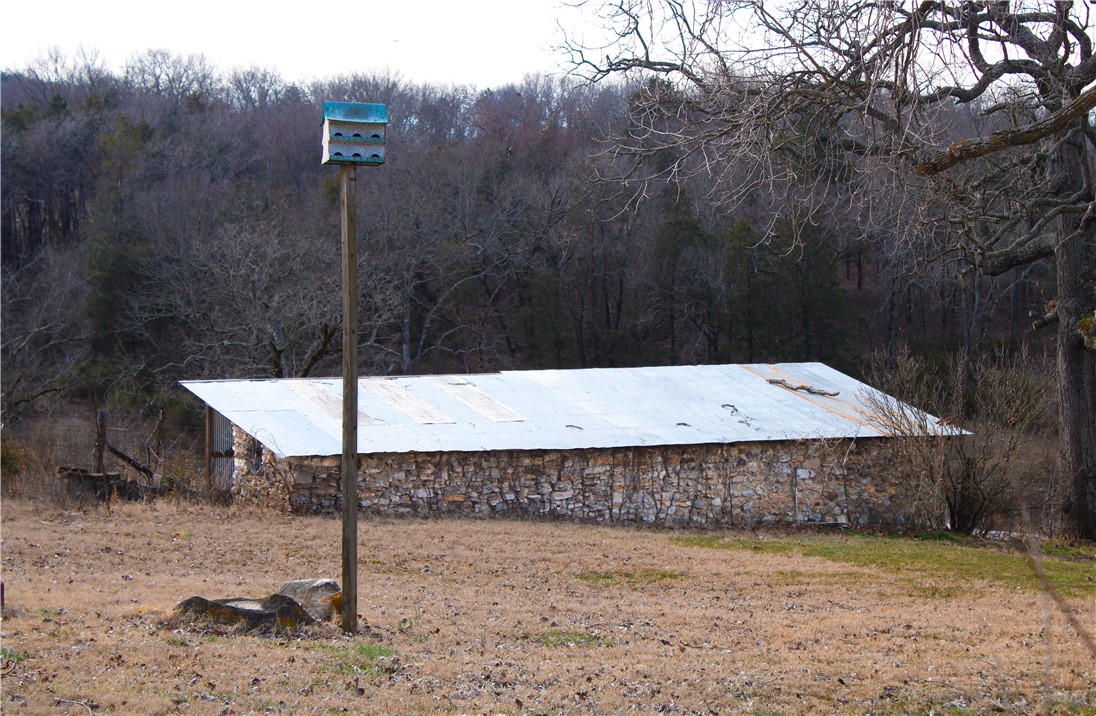 Image 36