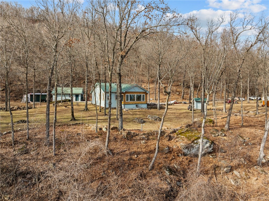 Image 40