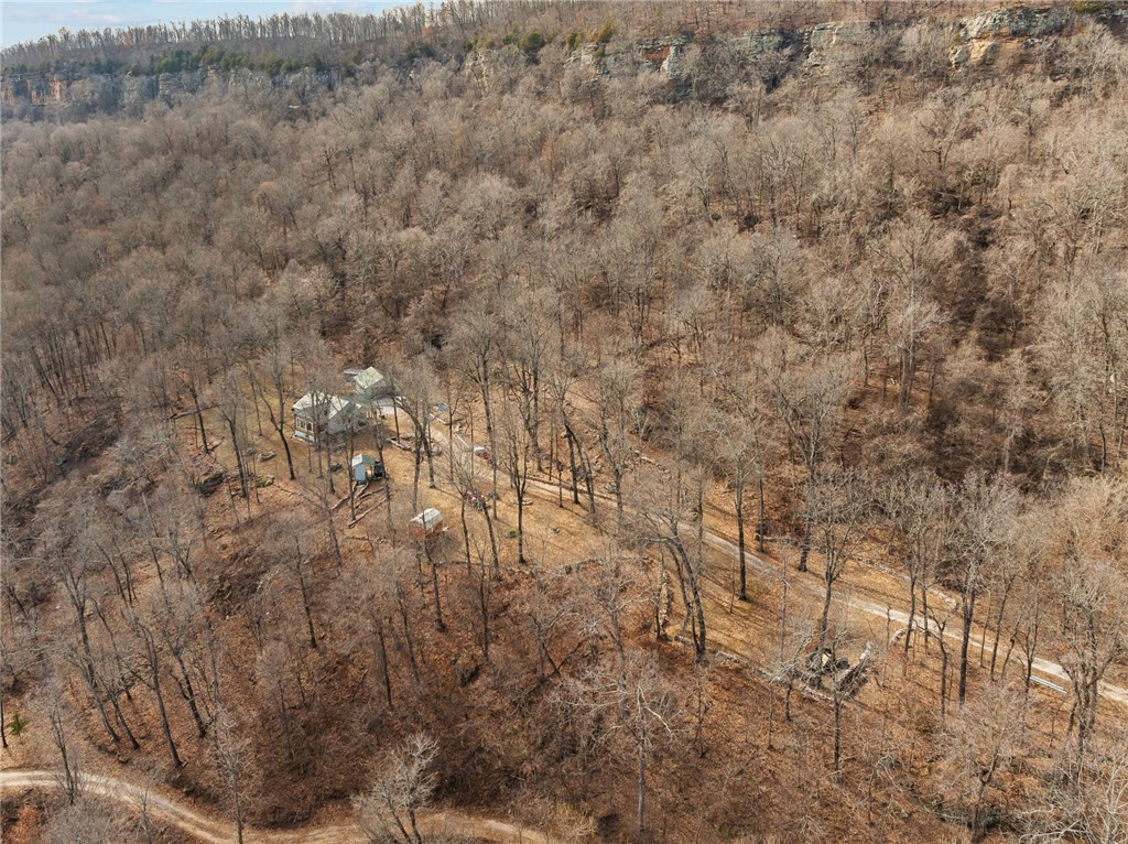 Image 49