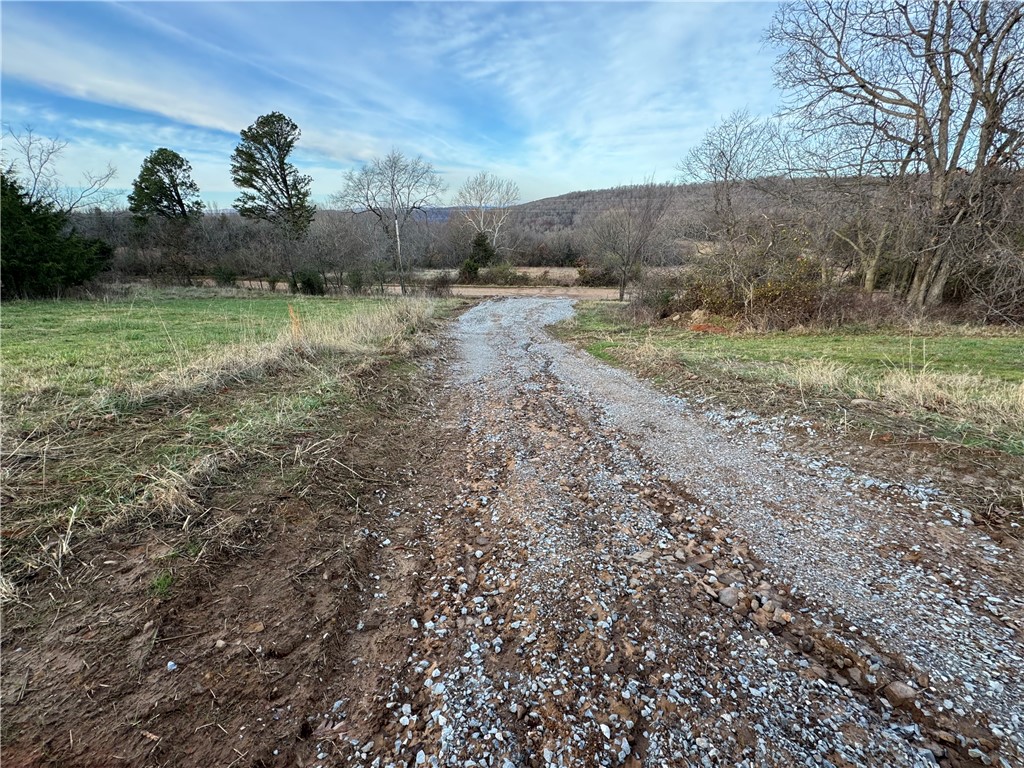 Image 19