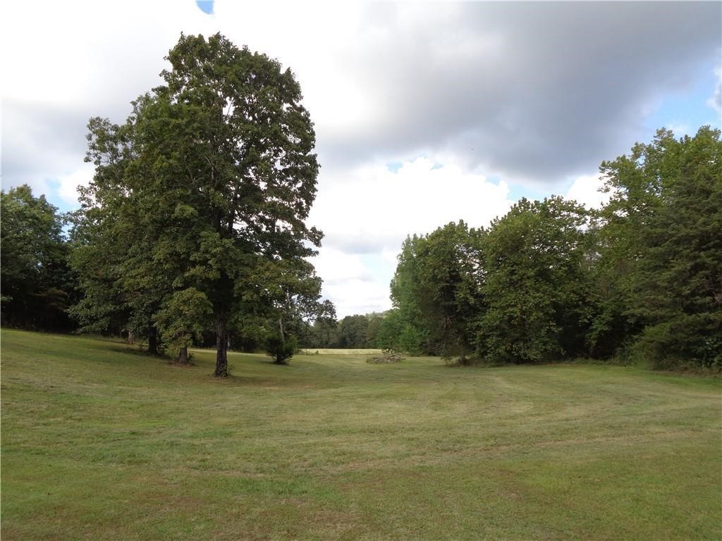Image 15