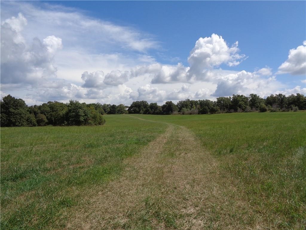Image 21