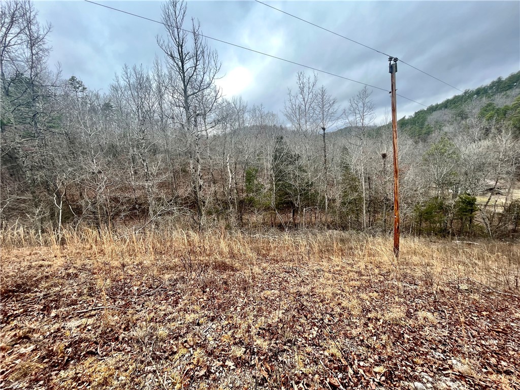 Image 12