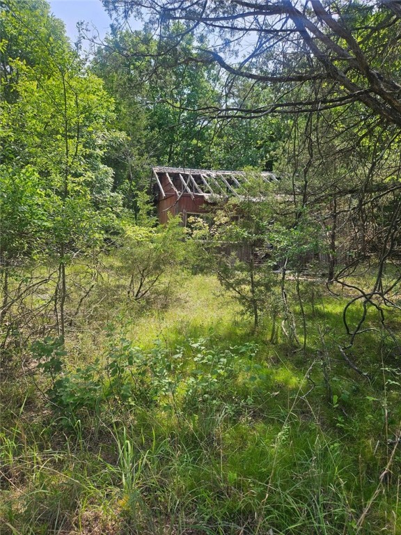 Image 11
