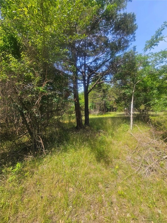 Image 13