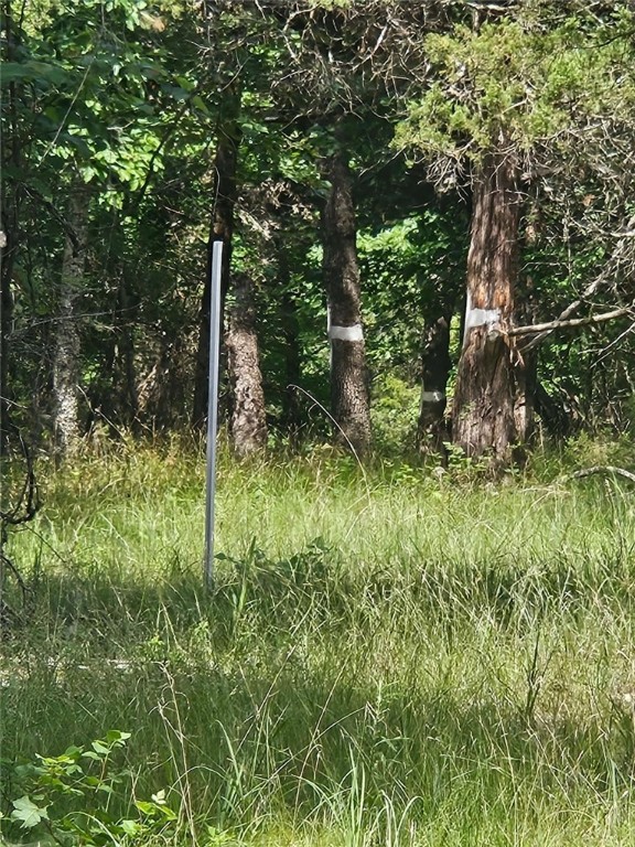 Image 14