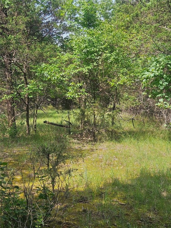 Image 15