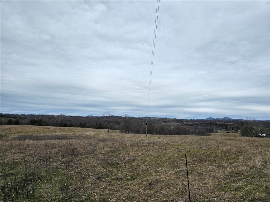 Image 31