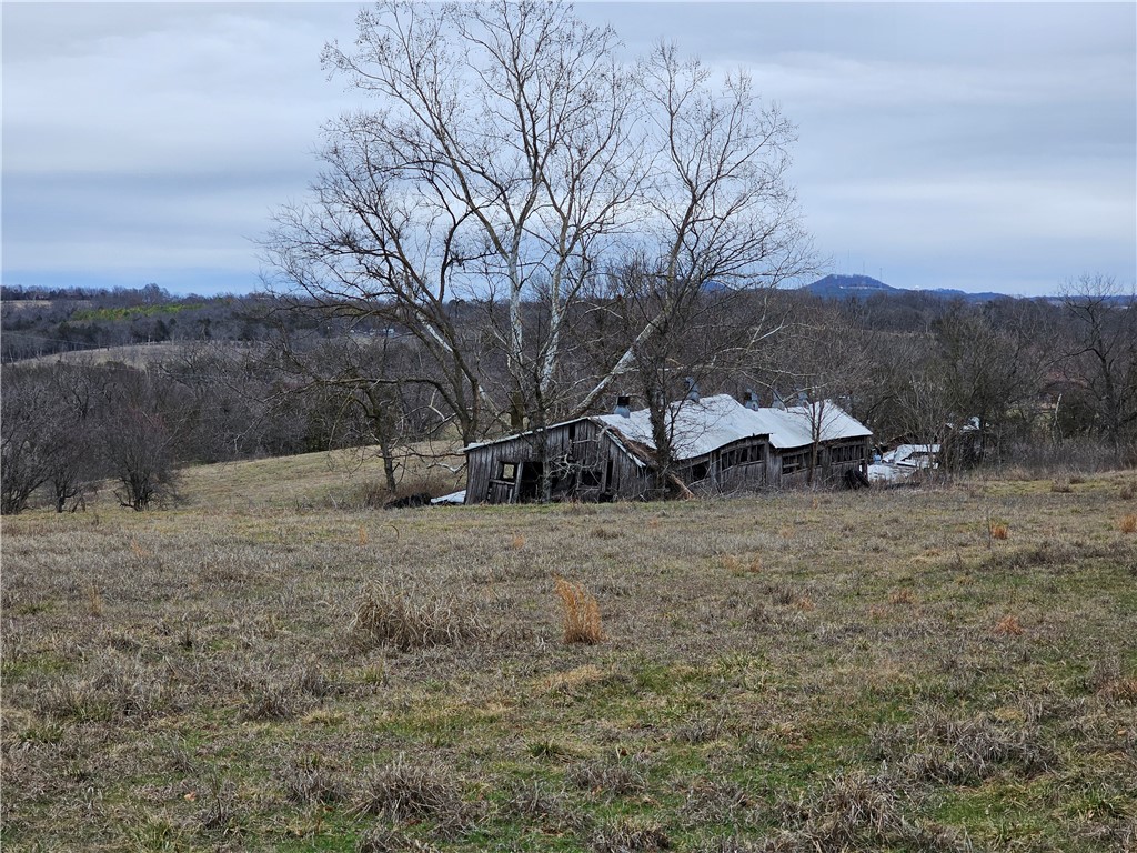 Image 33