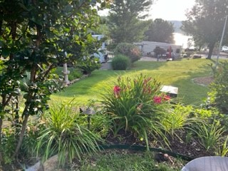 Image 15