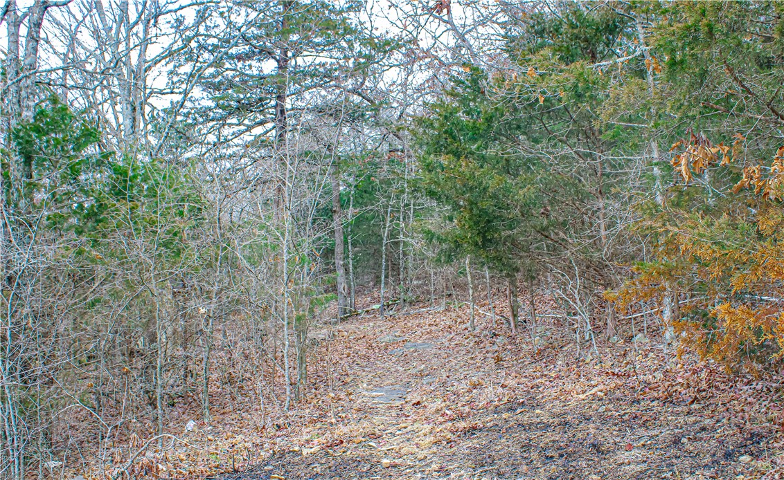 Image 41