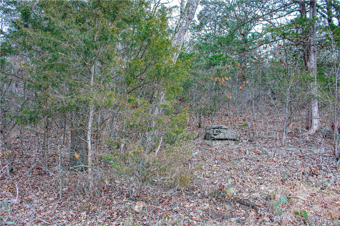 Image 42