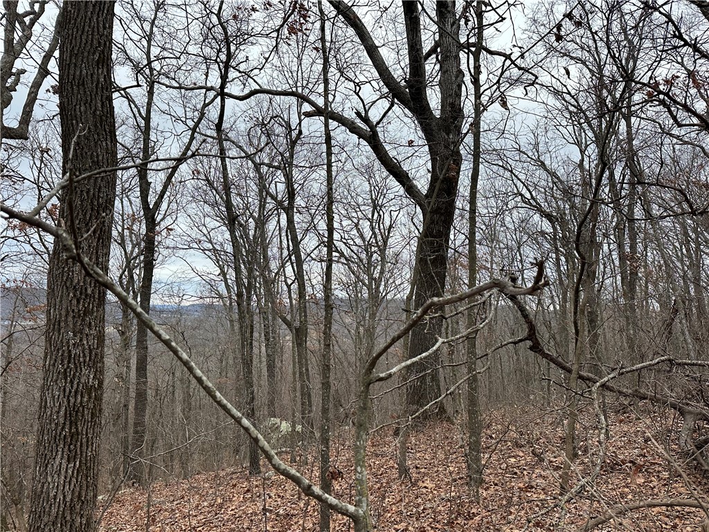 Image 12