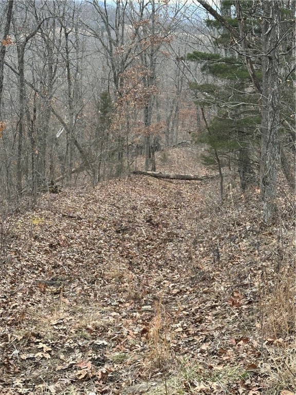 Image 13