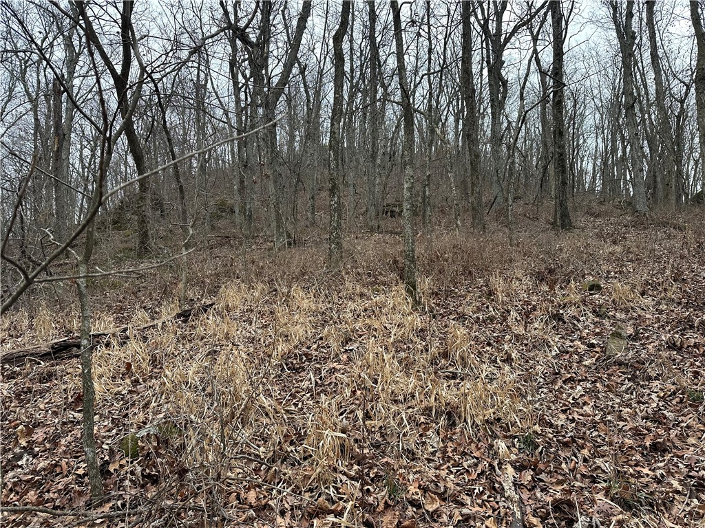 Image 8