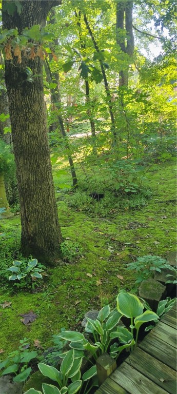 Image 37