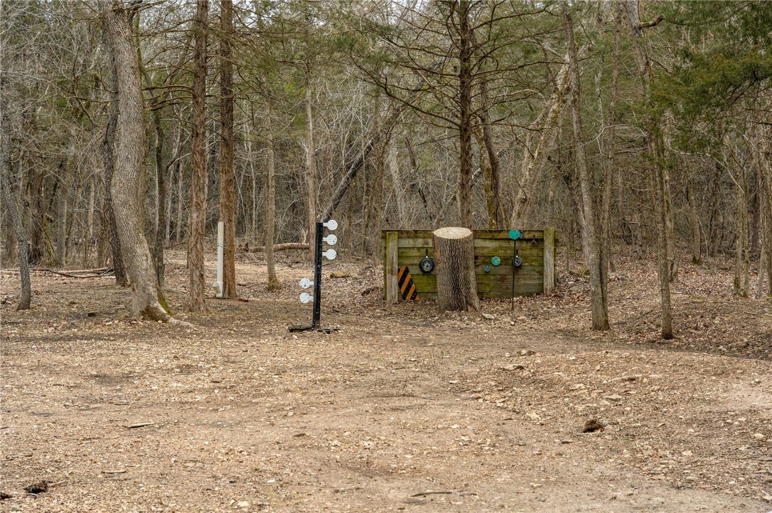 Image 37