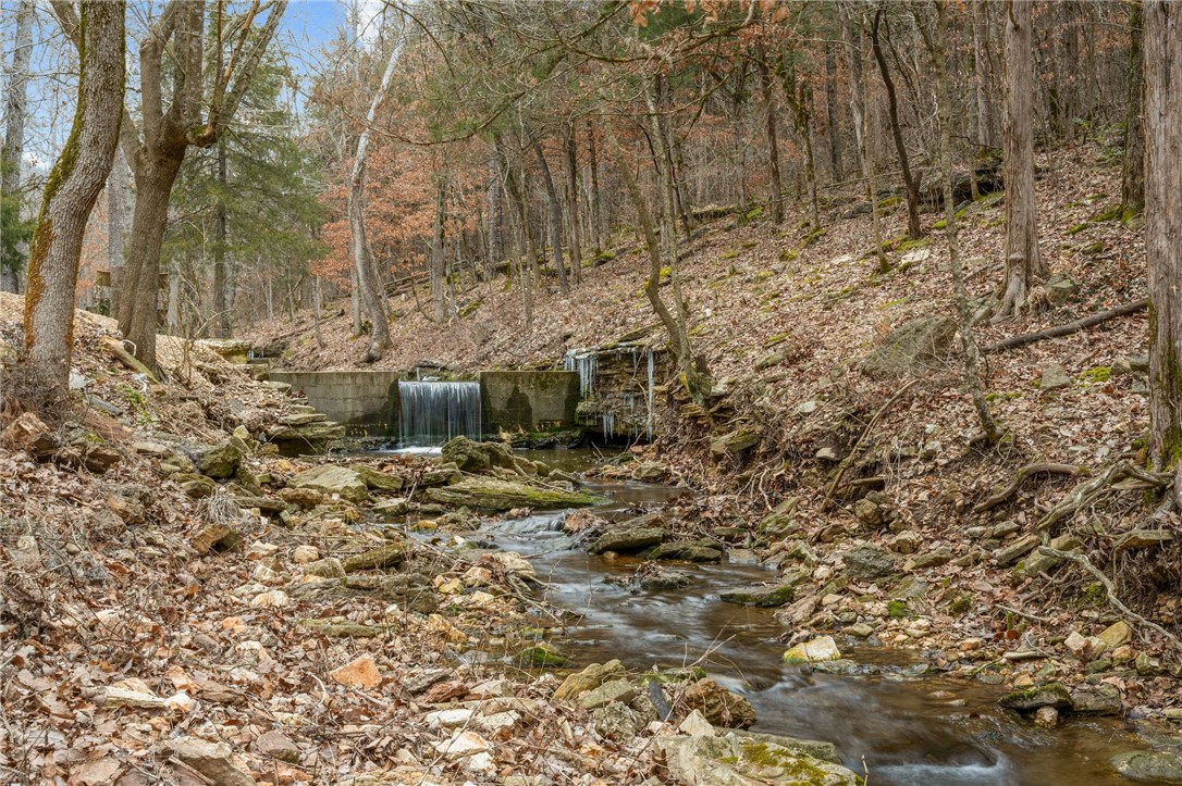 Image 43