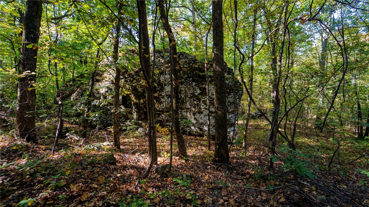 Image 9