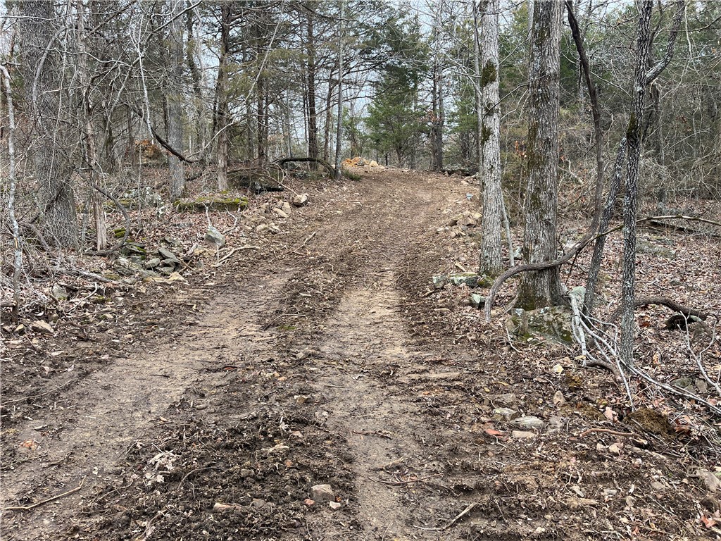 Image 11