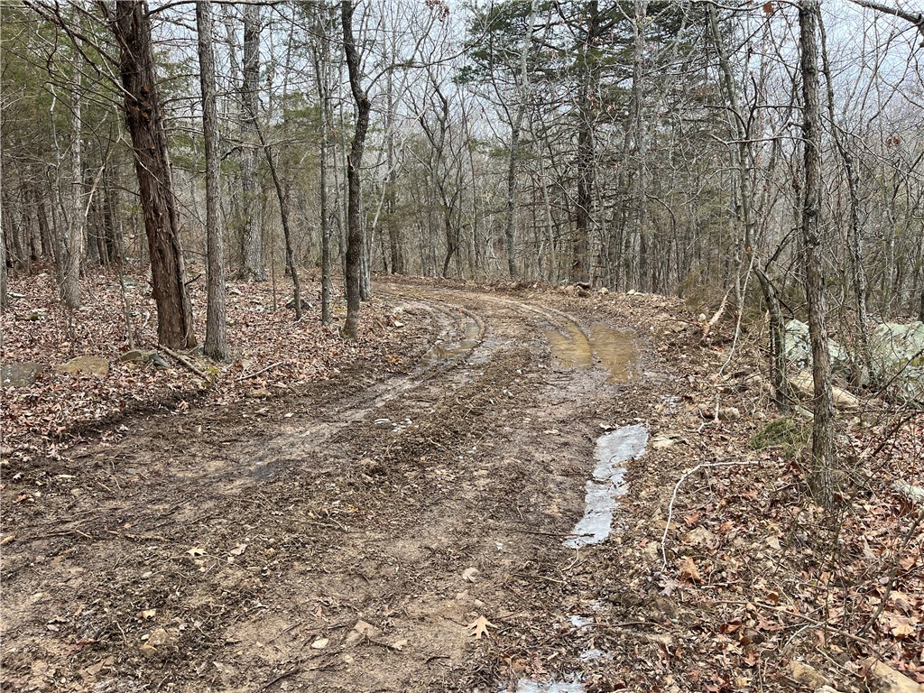 Image 13