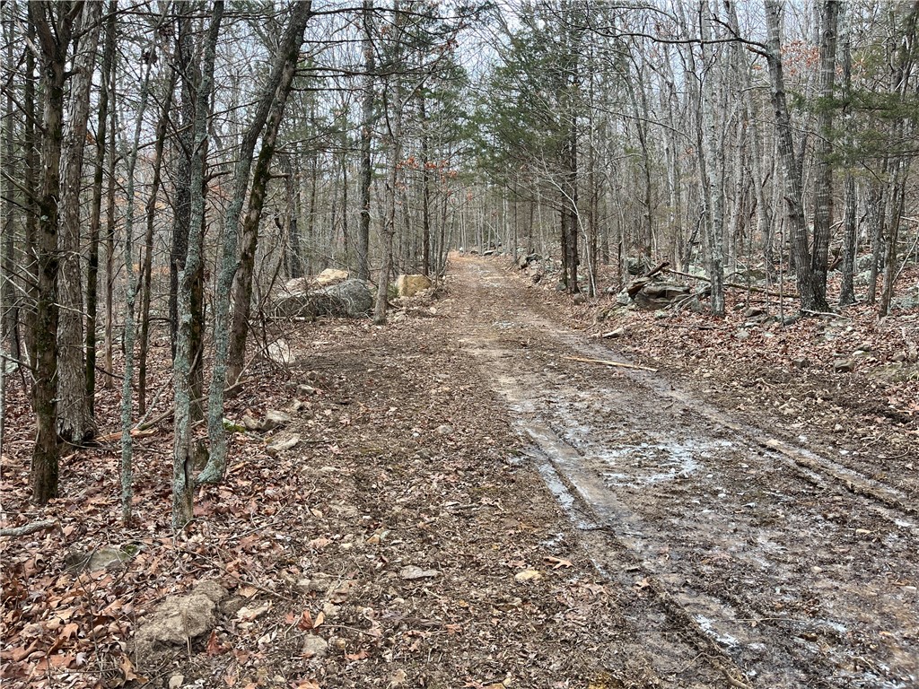 Image 14