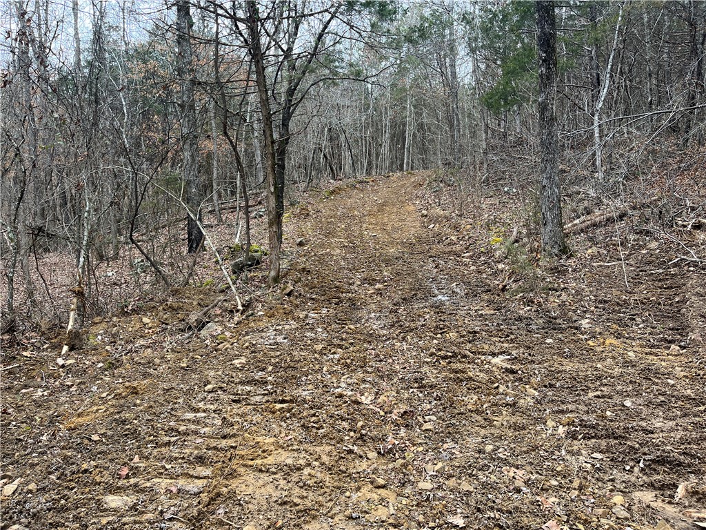 Image 15