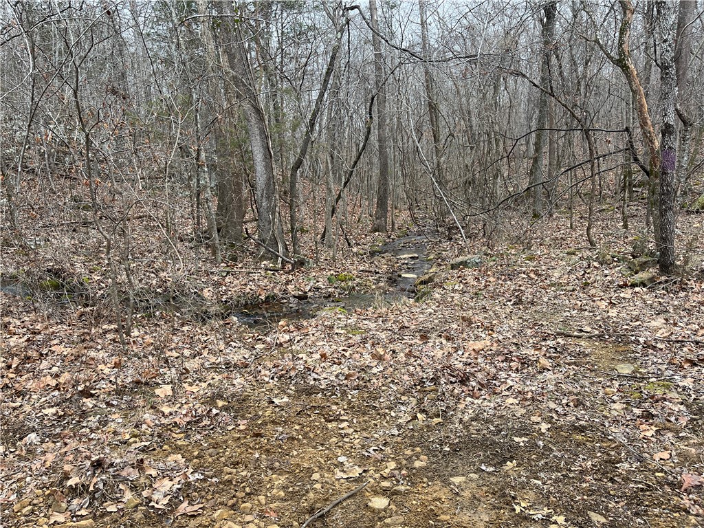 Image 16
