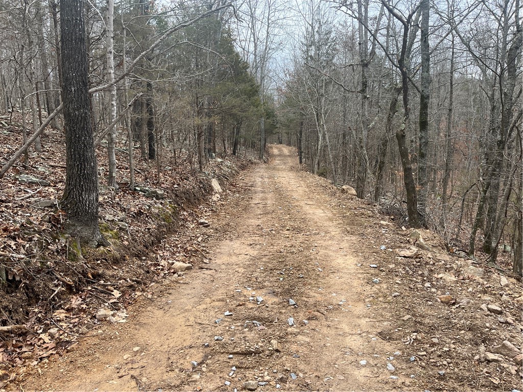 Image 8