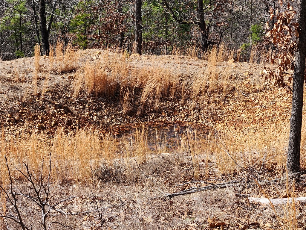 Image 12