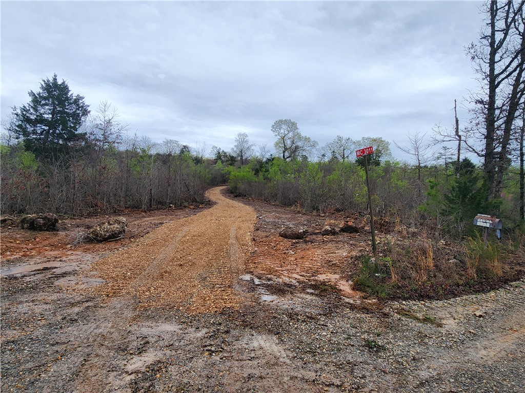 Image 13