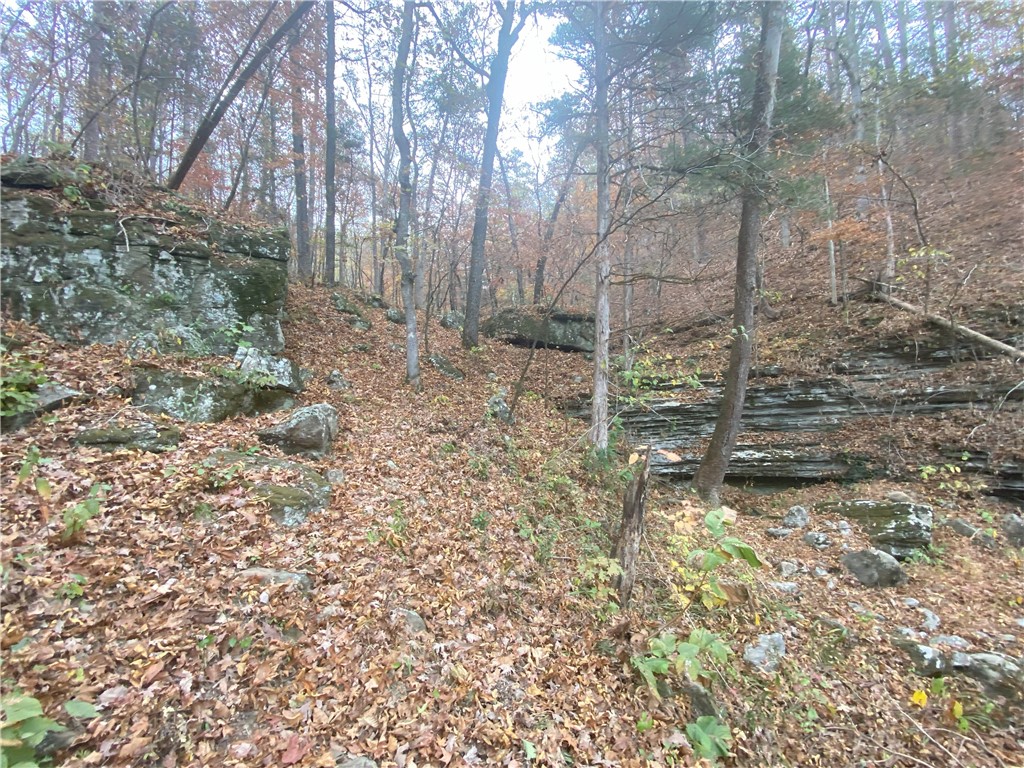 Image 36