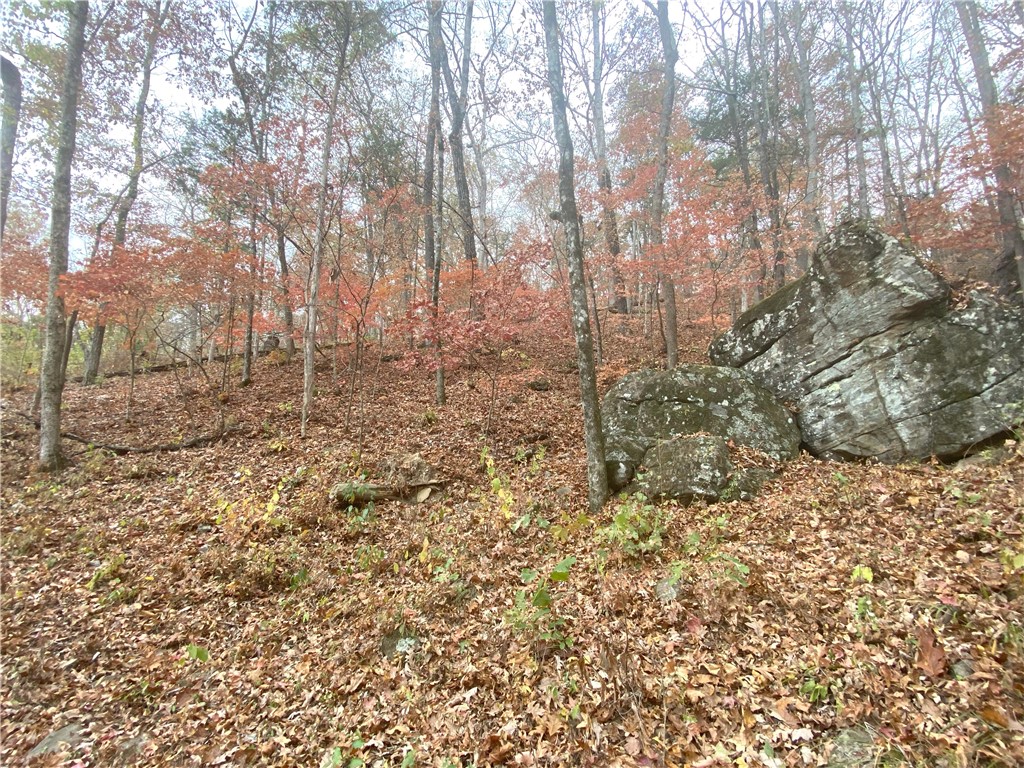 Image 38