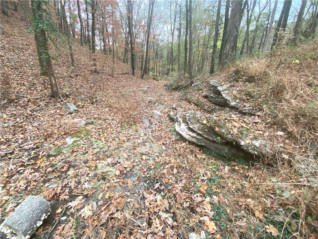 Image 40