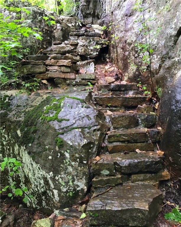 Image 14